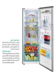 جمادة هايسنز (فريزة) 356 ليتر RL3N484NAI